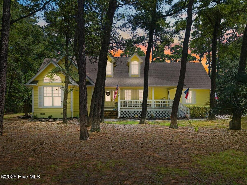 Photo of 667 Spartina Court, Southport, NC 28461 (MLS # 100518742)