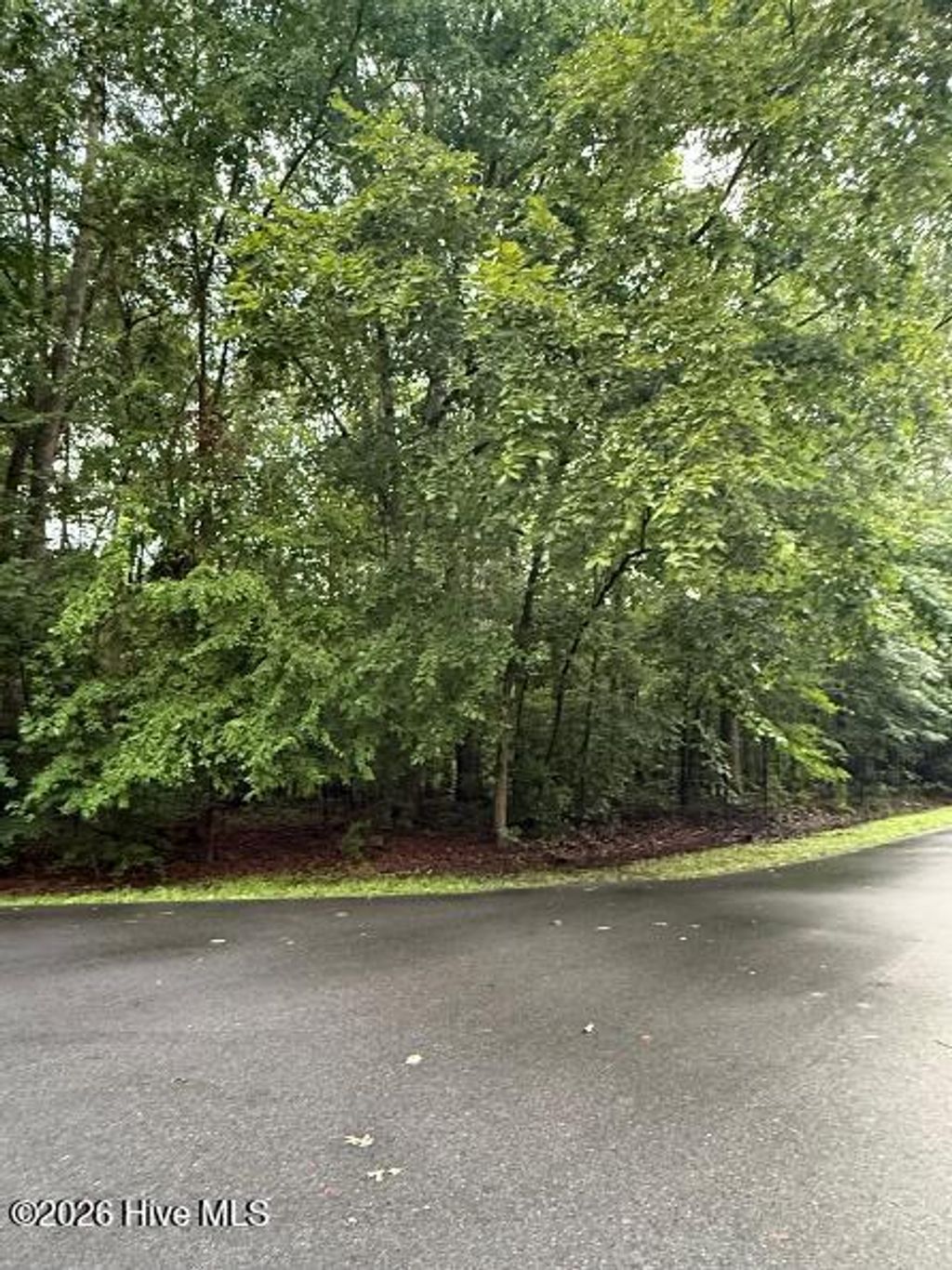 Photo of 1542 Green Meadow Lane, Rocky Mount, NC 27804 (MLS # 100590345)