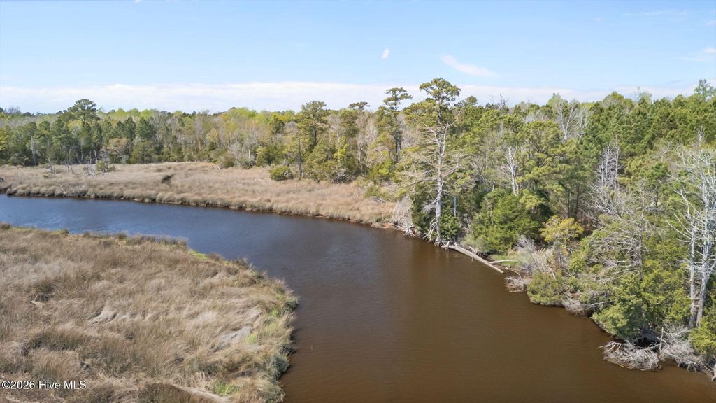 Photo of 4160 Freedom Way Way, Hubert, NC 28539 (MLS # 100567826)