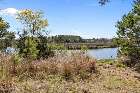 Tiny photo for 4160 Freedom Way, Hubert, NC 28539 (MLS # 100567826)