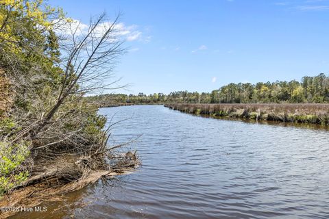 Tiny photo for 4160 Freedom Way, Hubert, NC 28539 (MLS # 100567826)