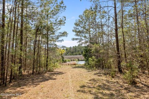 Tiny photo for 4160 Freedom Way, Hubert, NC 28539 (MLS # 100567826)
