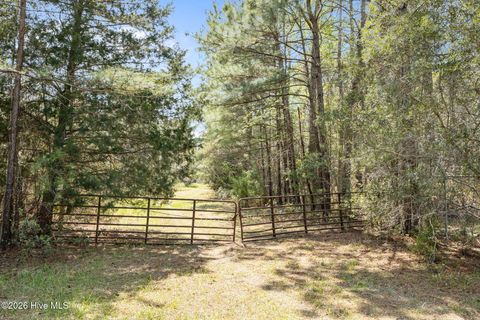 Tiny photo for 4160 Freedom Way, Hubert, NC 28539 (MLS # 100567826)