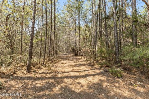 Tiny photo for 4160 Freedom Way, Hubert, NC 28539 (MLS # 100567826)