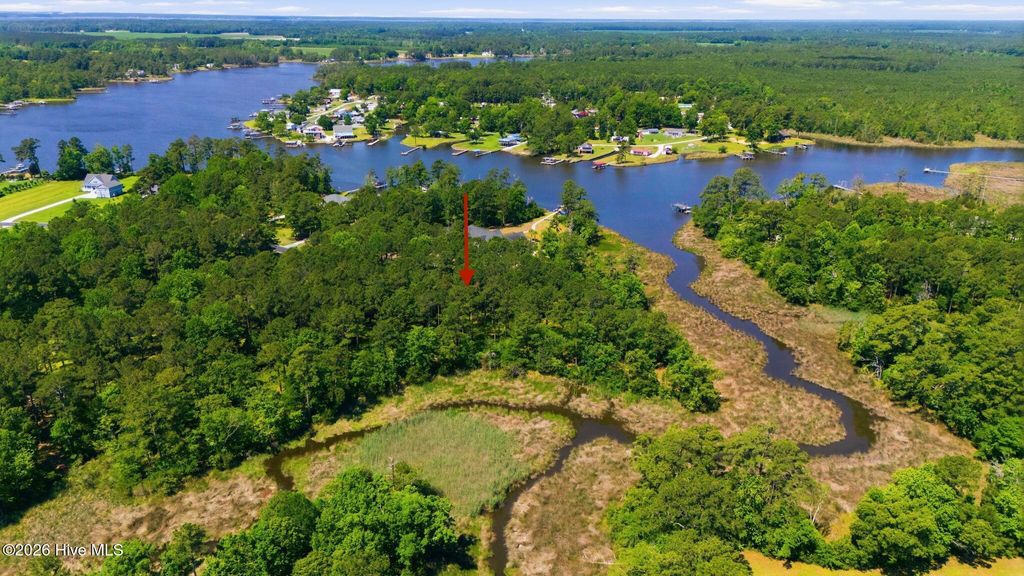 Photo of 292 Southern Plantation Drive S, Oriental, NC 28571 (MLS # 100575892)