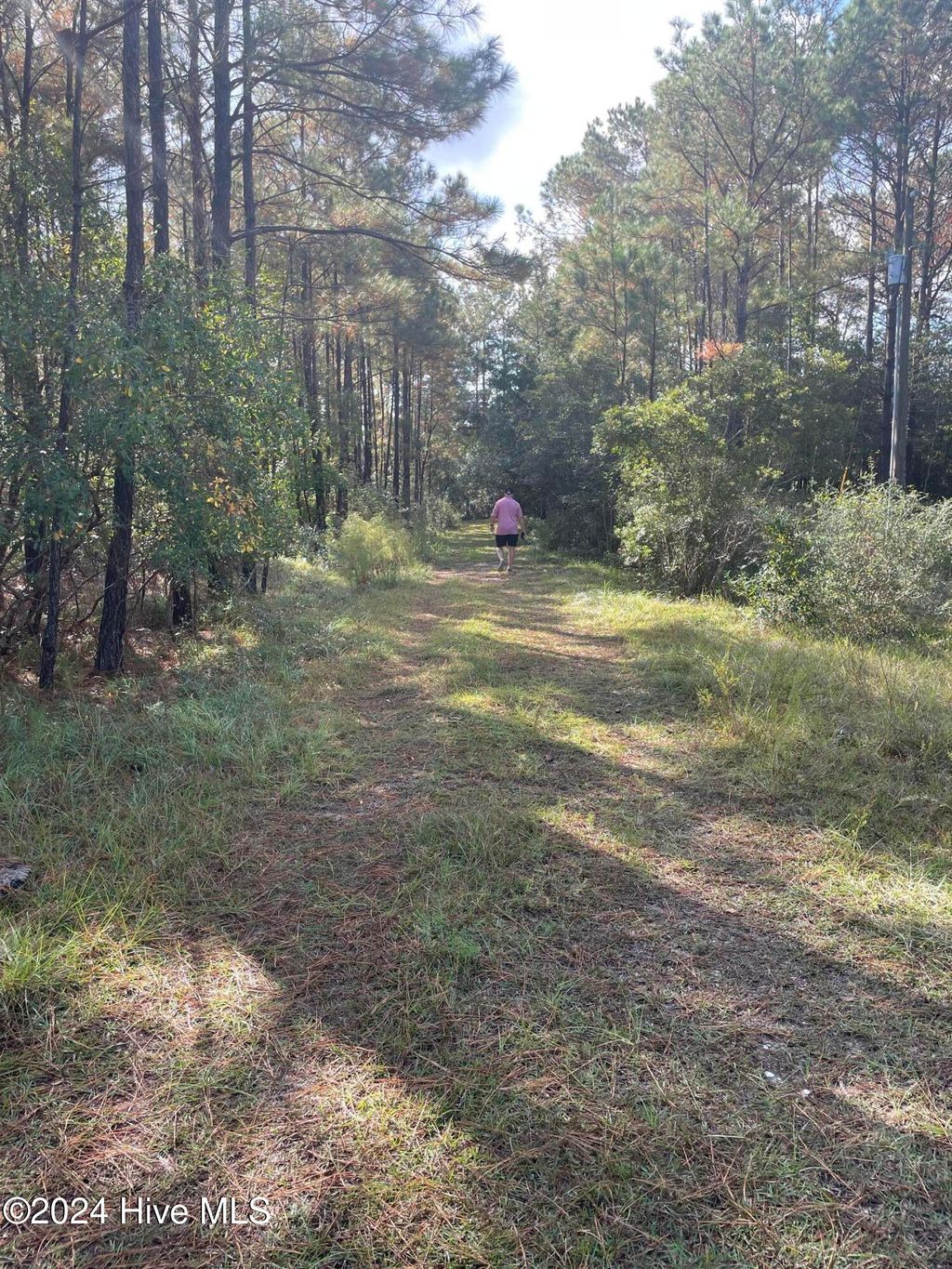 Photo of 2234 SW Red Bud Road, Supply, NC 28462 (MLS # 100544455)