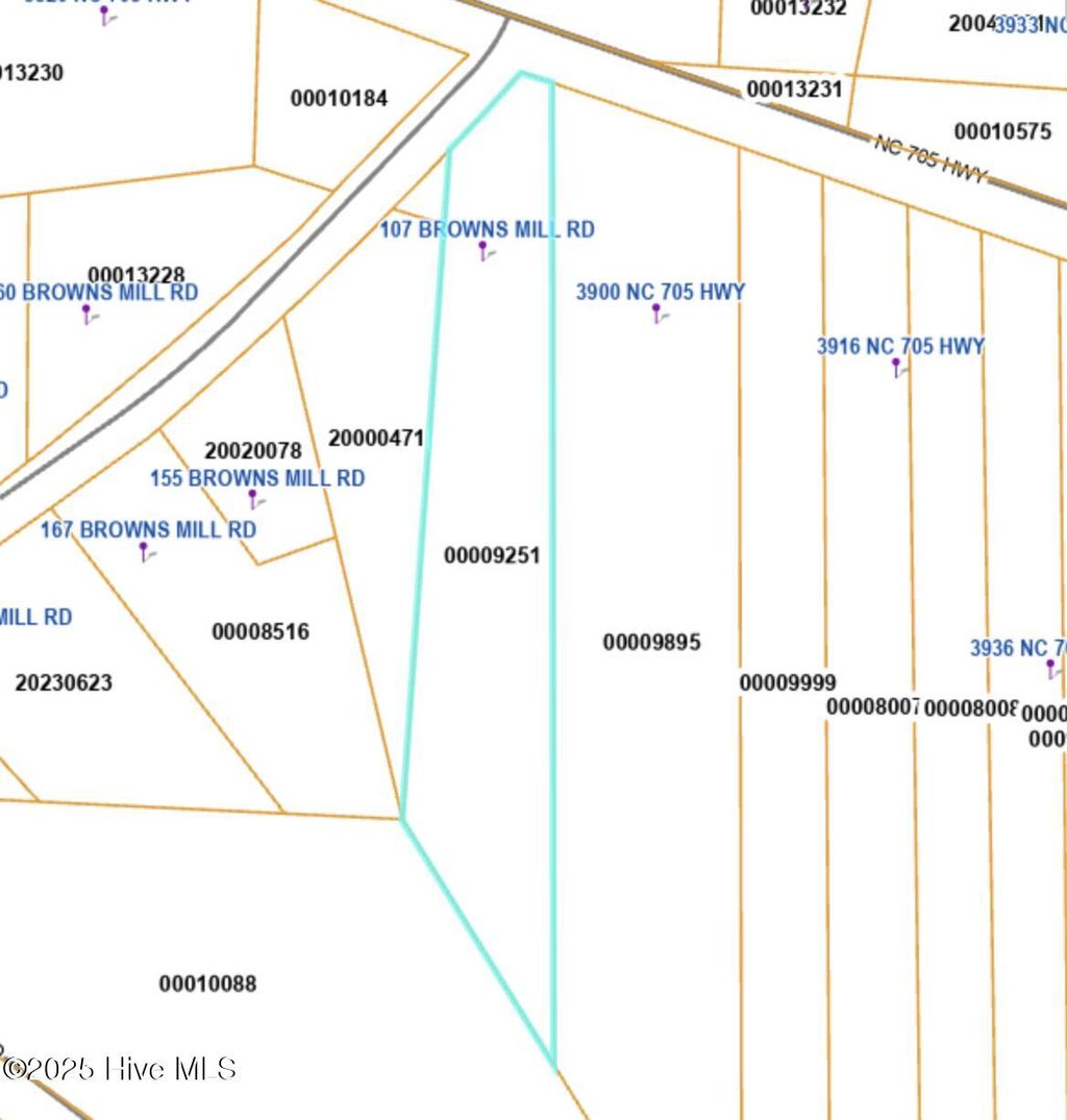 Photo of 107 Browns Mill Road, Robbins, NC 27325 (MLS # 100546235)