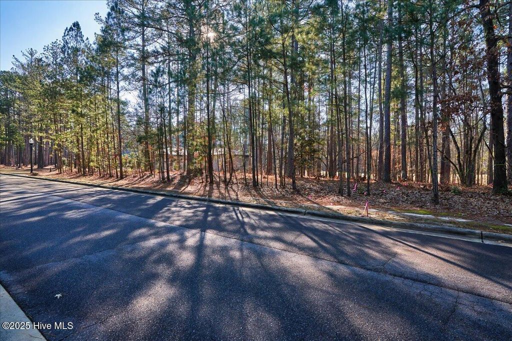 Photo of 63 Chestertown Drive, Pinehurst, NC 28374 (MLS # 100548402)