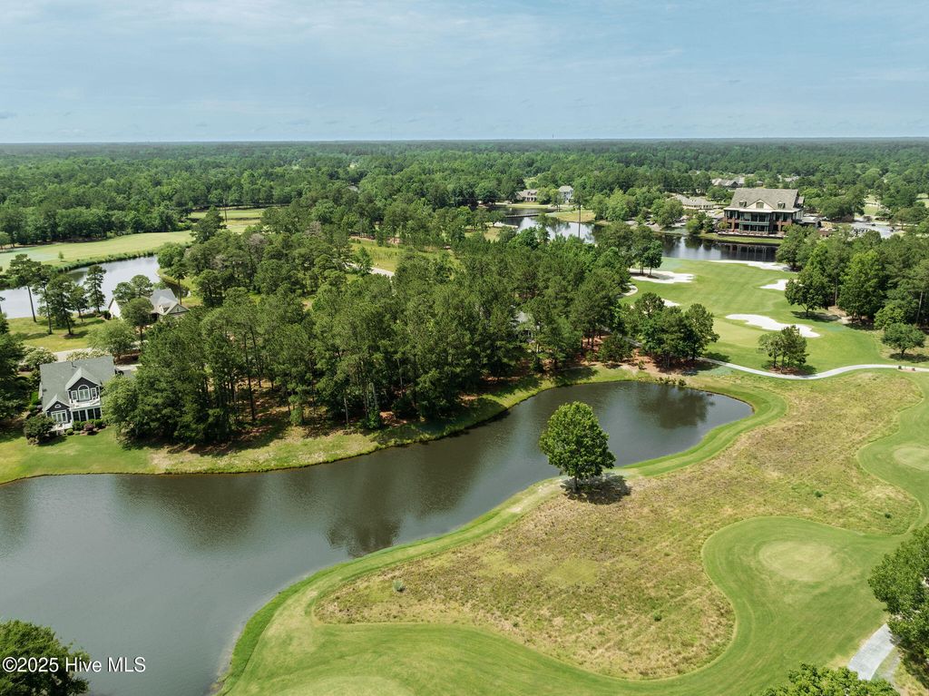 Photo of 166 Falls Landing Way, Wallace, NC 28466 (MLS # 100511072)