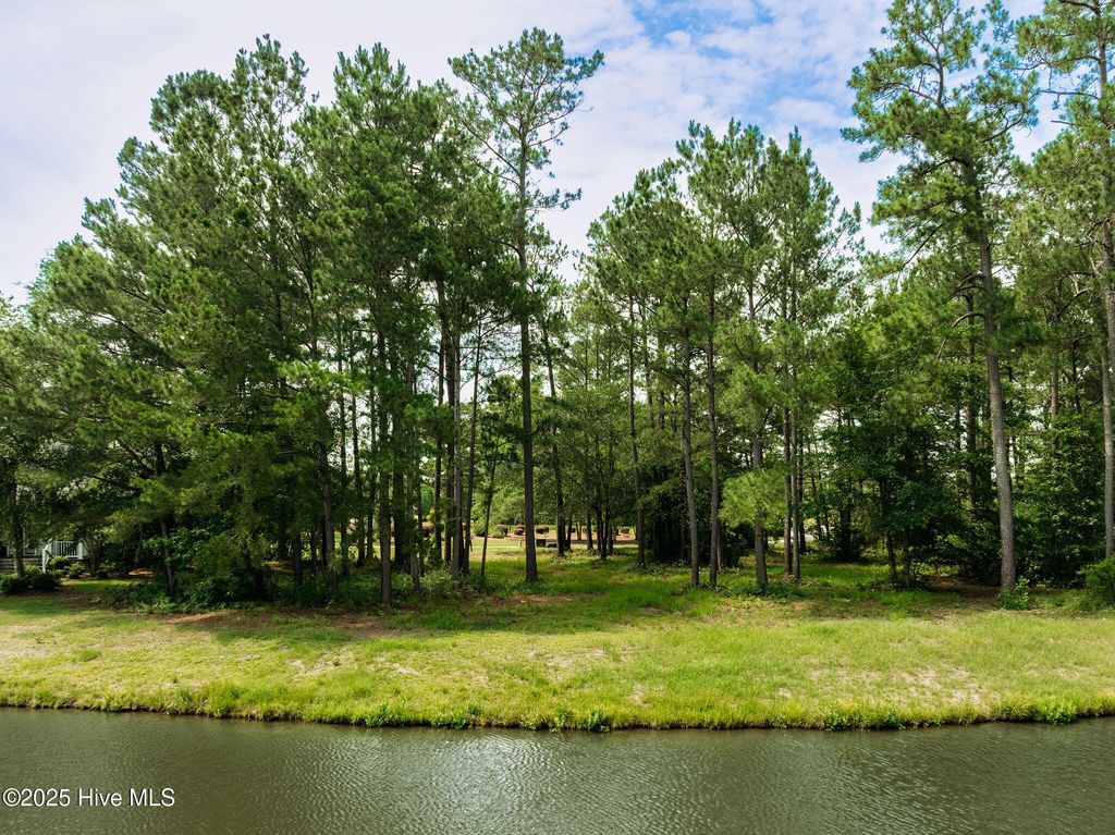 Photo of 166 Falls Landing Way, Wallace, NC 28466 (MLS # 100511072)