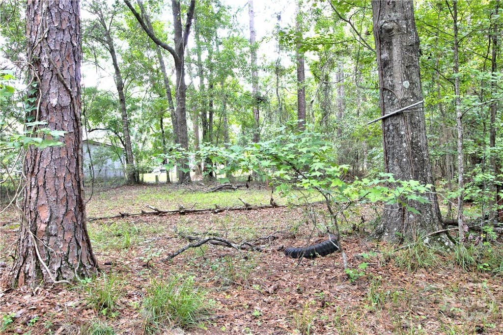 Photo of 413 Wallace Circle, Bloomingdale, GA 31302 (MLS # SA360793)