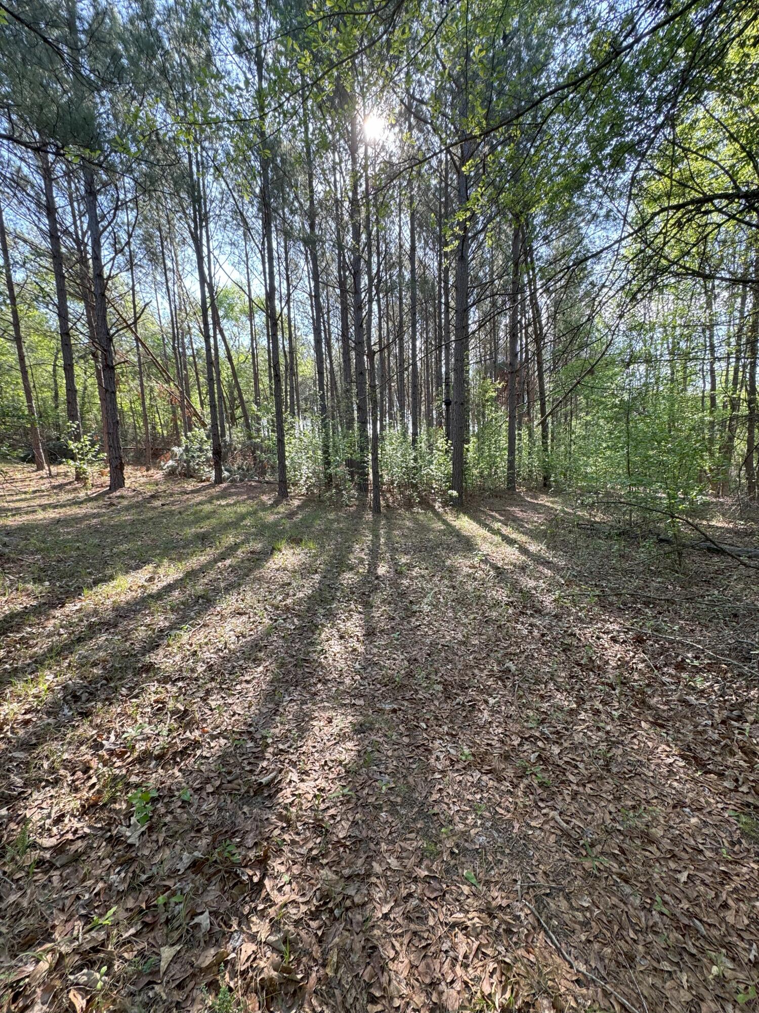 0 Middle Ground Road