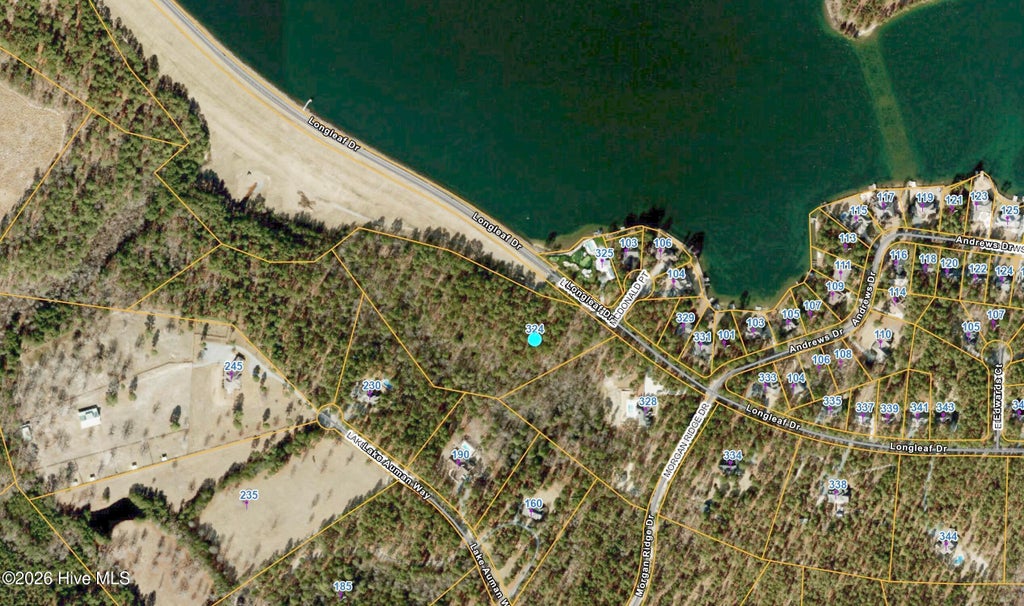 Photo of 324 Longleaf Drive, West End, NC 27376 (MLS # 100602878)