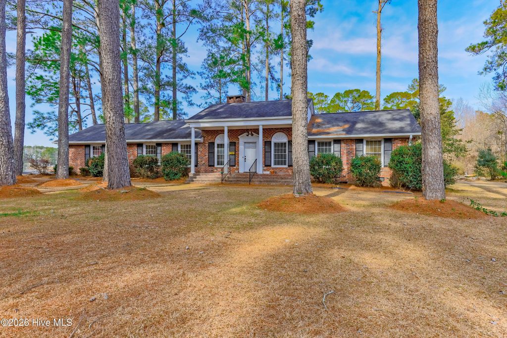 Photo of 110 Annie Faye Norris Lane, Teachey, NC 28464 (MLS # 100550761)