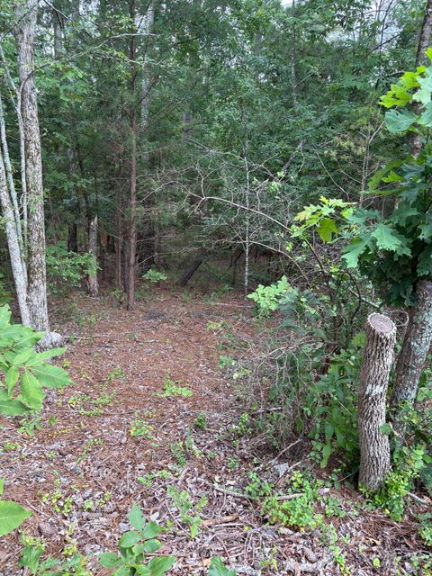 Vacant Land For Sale - LOT 15 Overlook Point<br/> McCormick, SC 29835