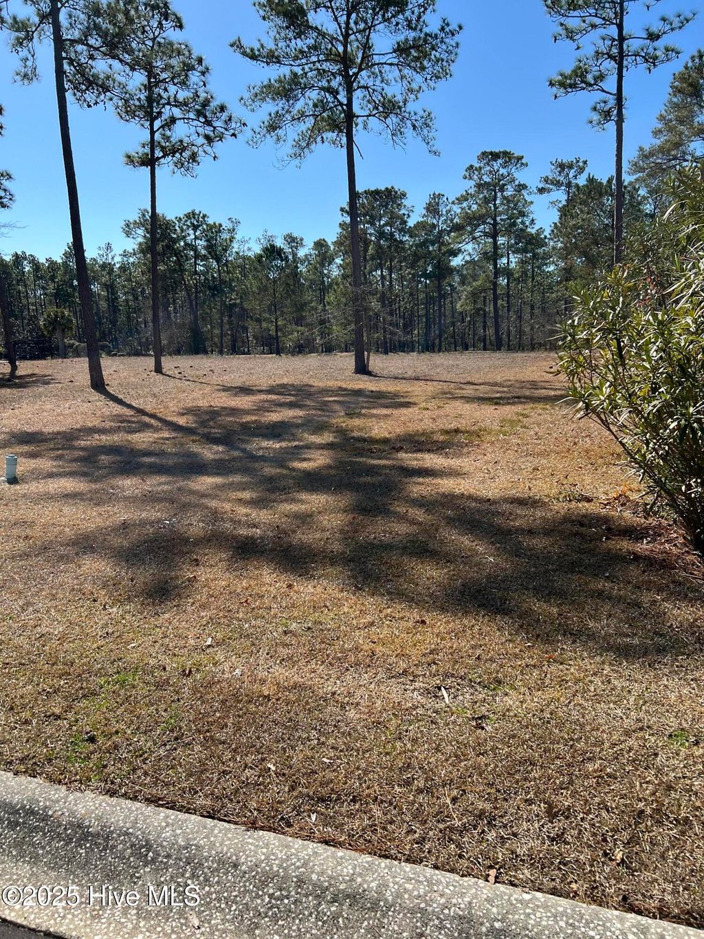 Photo of 349 River Village Square, Shallotte, NC 28470 (MLS # 100487595)