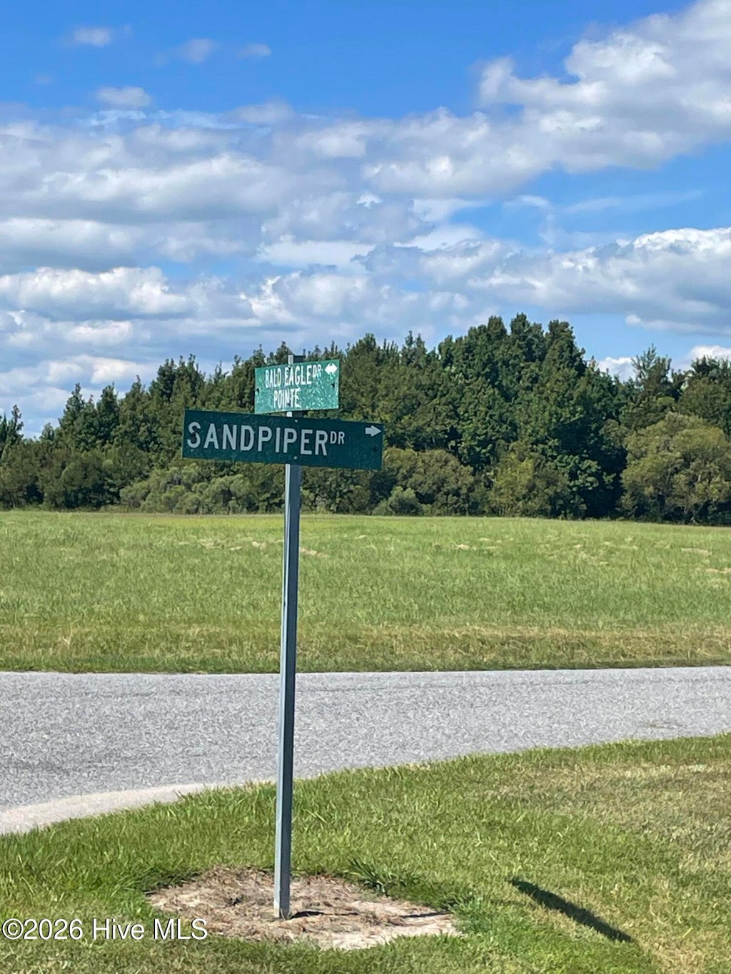 Photo of 180 Bald Eagle Pointe Drive, Hertford, NC 27944 (MLS # 100602083)