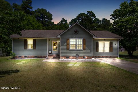 Photo of 419 Wapiti Drive, Spring Lake, NC 28390 (MLS # 100582812)