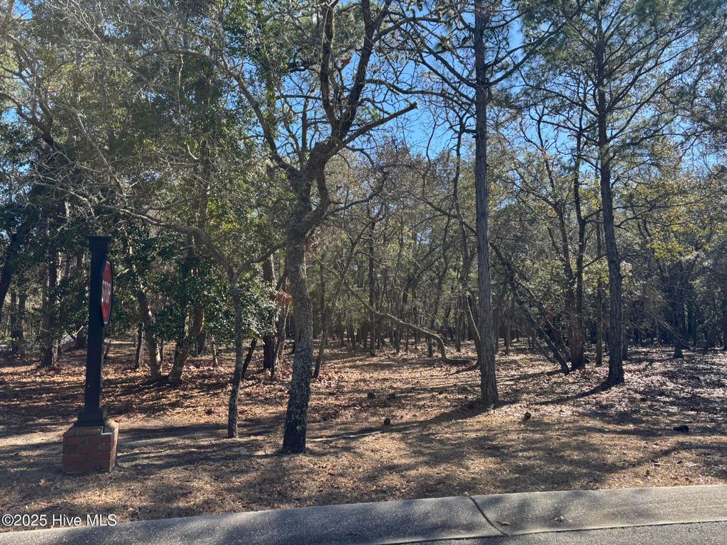 Photo of 651 Valverda Street SW, Supply, NC 28462 (MLS # 100498169)