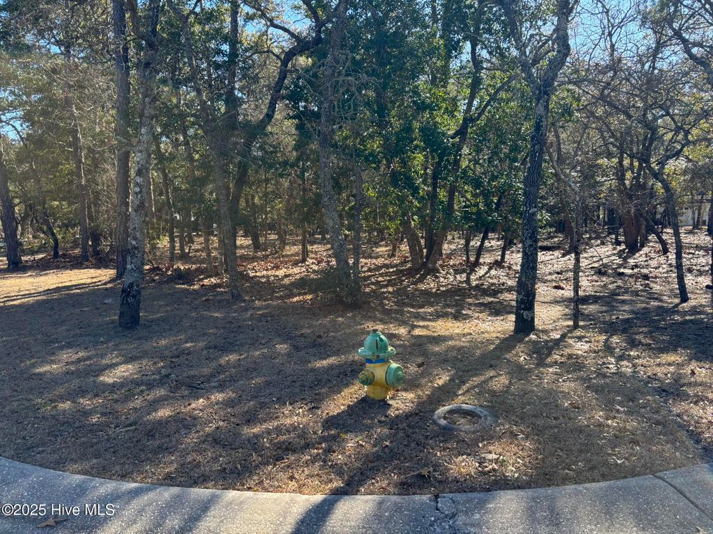 Photo of 651 Valverda Street SW, Supply, NC 28462 (MLS # 100498169)