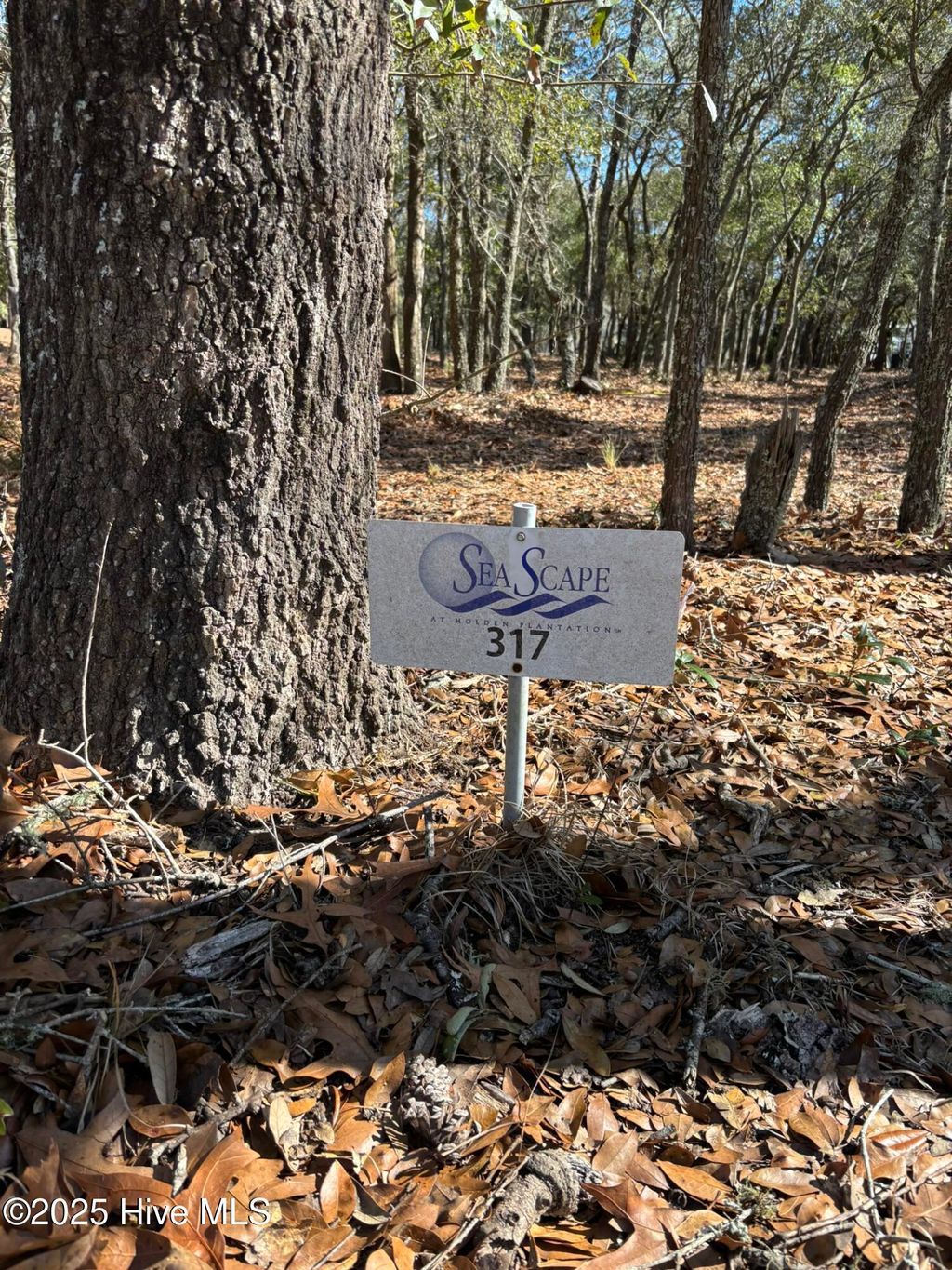 Photo of 651 Valverda Street SW, Supply, NC 28462 (MLS # 100498169)