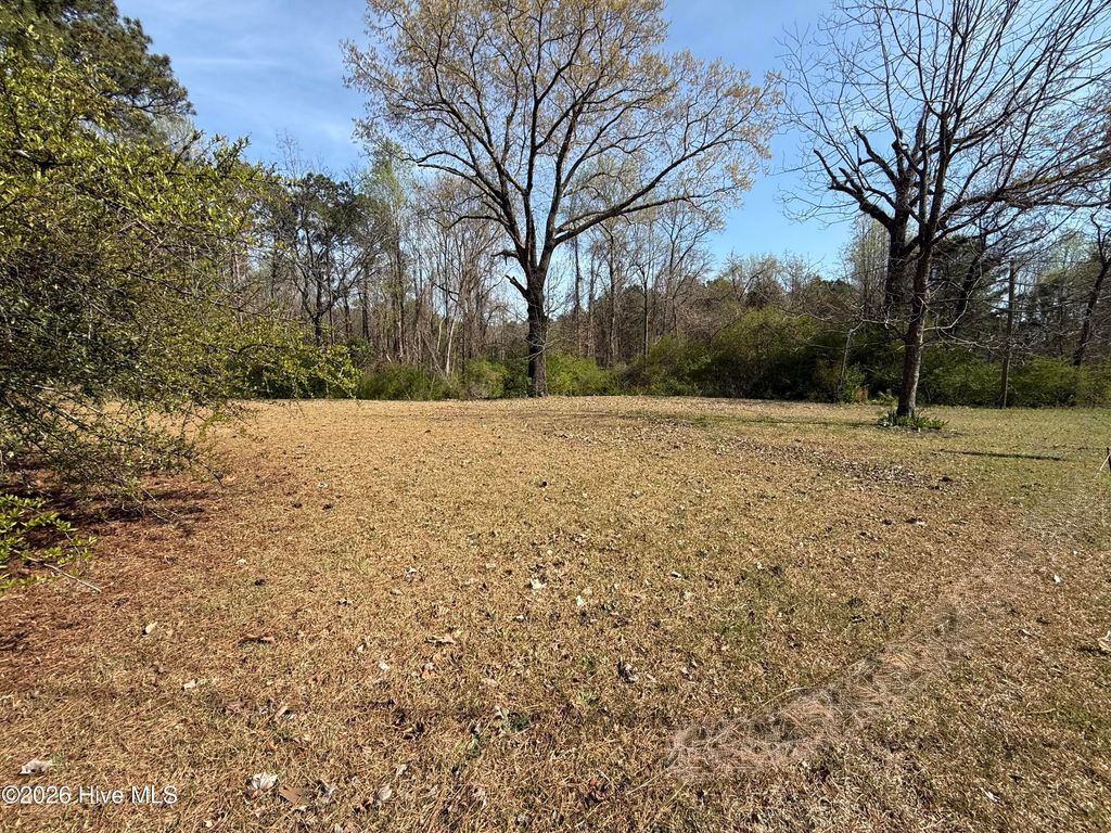 Photo of 1878 Bailey Road, Coats, NC 27521 (MLS # 100565601)