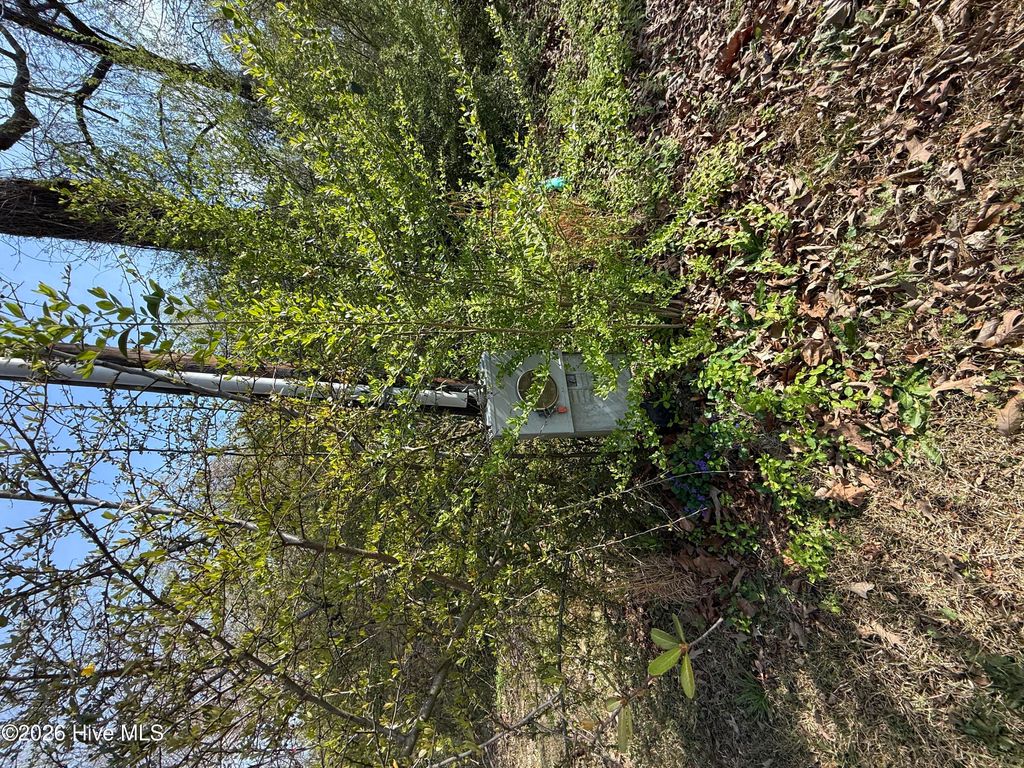 Photo of 1878 Bailey Road, Coats, NC 27521 (MLS # 100565601)