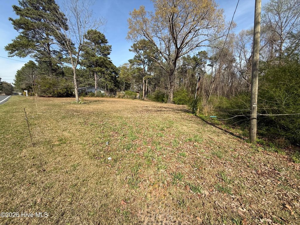 Photo of 1878 Bailey Road, Coats, NC 27521 (MLS # 100565601)