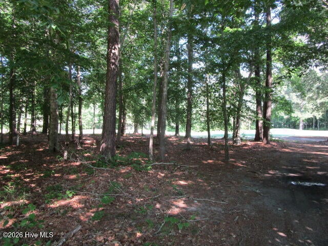 Lot 1 Roanoke Drive W, Hertford, NC, 27944
