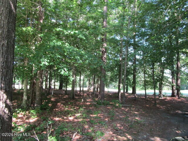 Photo of 1 Roanoke Drive W, Hertford, NC 27944 (MLS # 100556432)