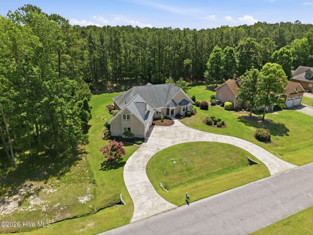 Photo of 436 Cypress Landing Trail, Chocowinity, NC 27817 (MLS # 100574322)