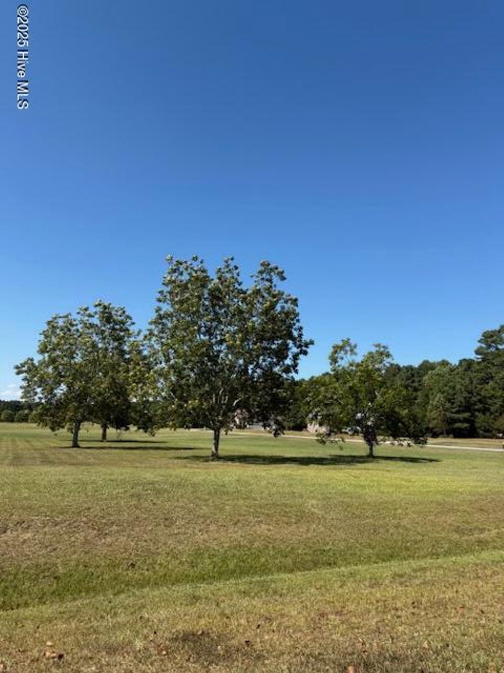 Photo of 42 Cordgrass Pointe Road, Bath, NC 27808 (MLS # 100533137)