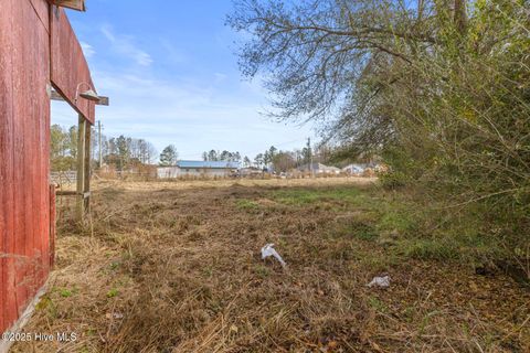 Tiny photo for 2880 Catherine Lake Road, Richlands, NC 28574 (MLS # 100544885)