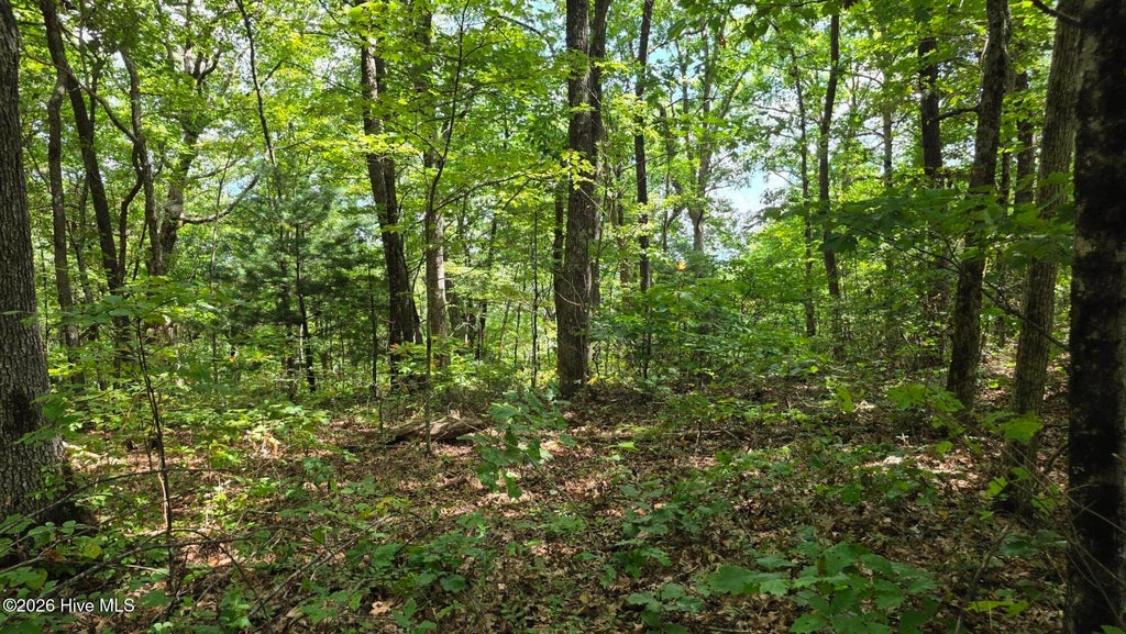 Photo of 17 Outlook Road, Murphy, NC 28906 (MLS # 100607674)
