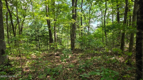 Vacant Land For Sale - LOT 17 Outlook Road<br/> Cherokee County, Murphy, NC 28906