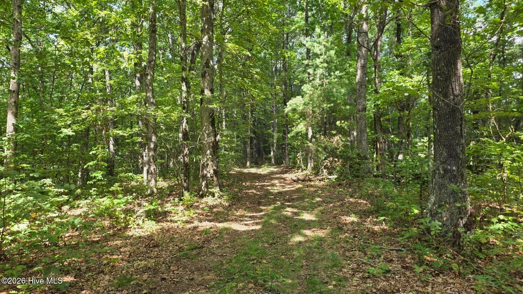 Photo of 17 Outlook Road, Murphy, NC 28906 (MLS # 100607674)