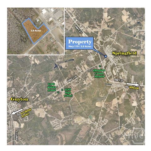 Vacant Land For Sale - W Madison Street<br/> Springfield, GA 31329