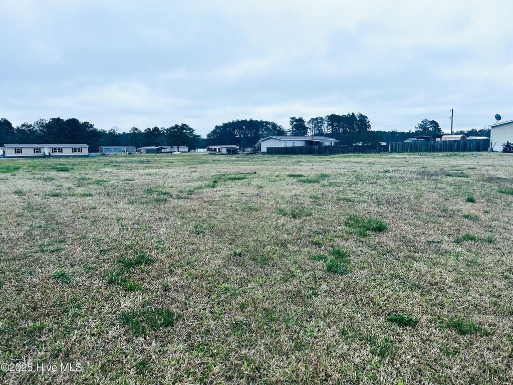 Photo of 548 Evins Lane, Pinetown, NC 27865 (MLS # 100494499)