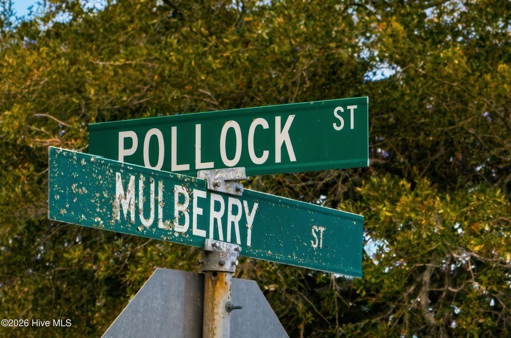 Photo of 711 Mulberry Street, Beaufort, NC 28516 (MLS # 100563501)