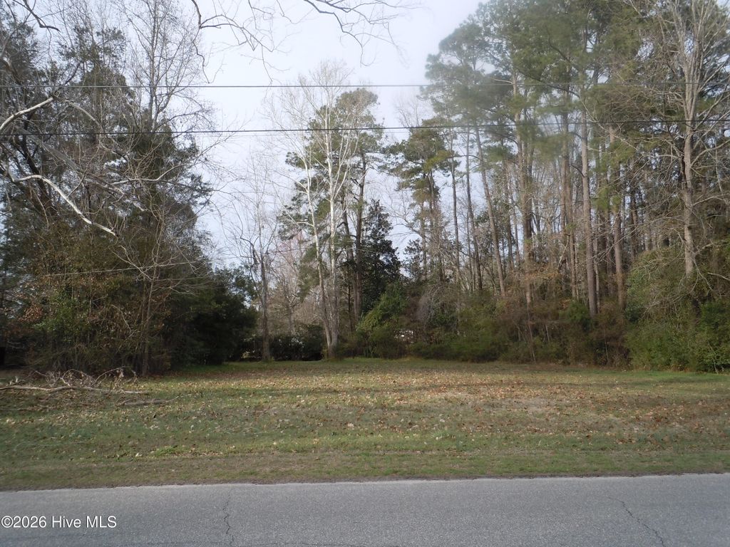 Photo of Tbd Near 117 Floyd Street, Tabor City, NC 28463 (MLS # 100556448)