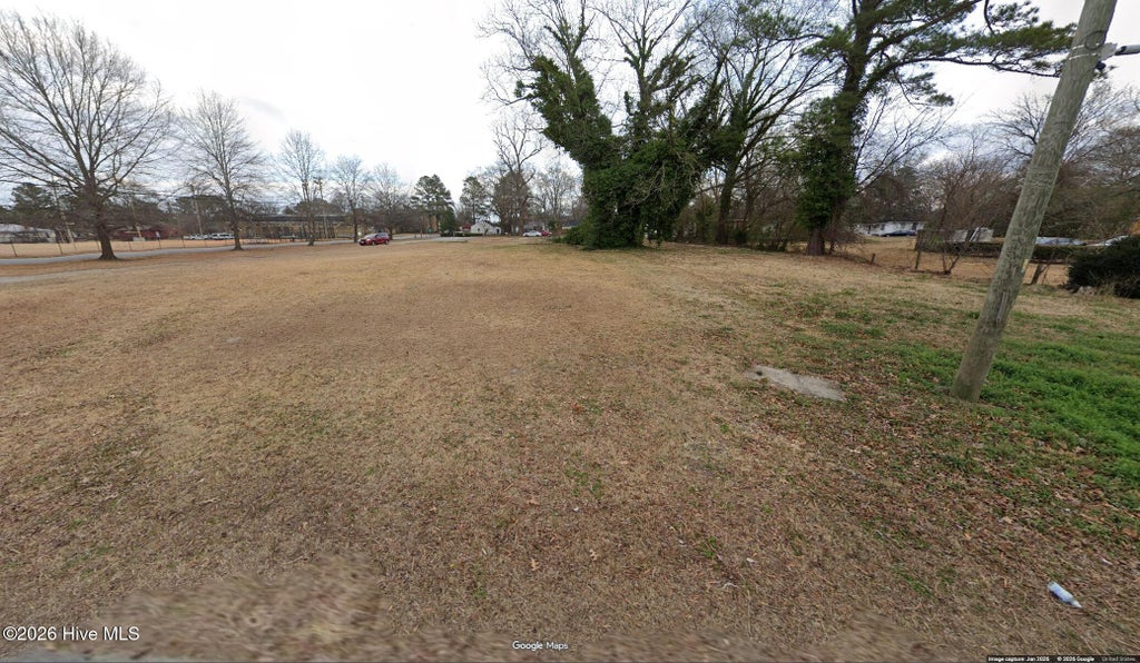 Photo of 4267 Martin Luther King Junior Street, Ayden, NC 28513 (MLS # 100597196)