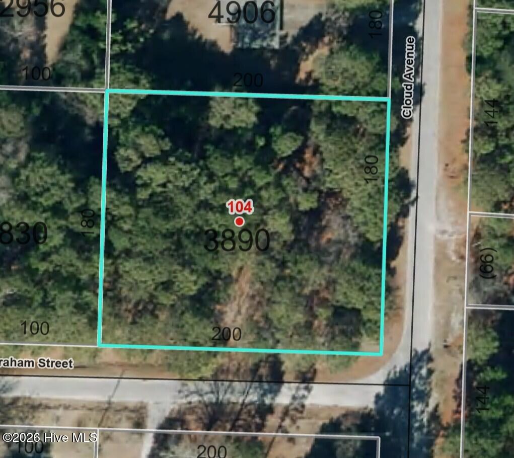 Photo of 104 Graham Street, Hamlet, NC 28345 (MLS # 100603958)