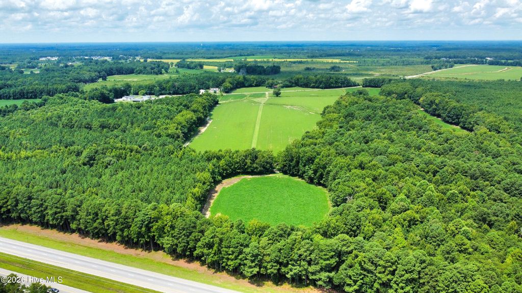 Photo of 00 N Browntown Road, Battleboro, NC 27809 (MLS # 100551063)