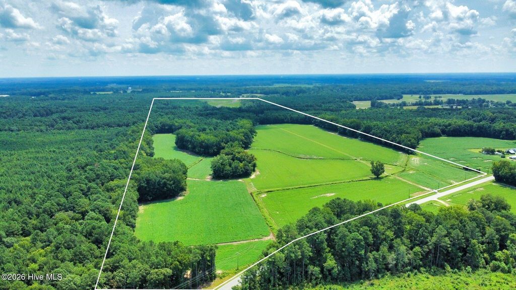 Photo of 00 N Browntown Road, Battleboro, NC 27809 (MLS # 100551063)