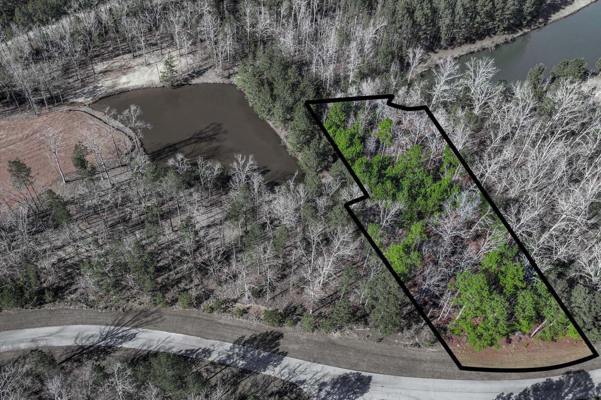 1137 Sally Ann Court