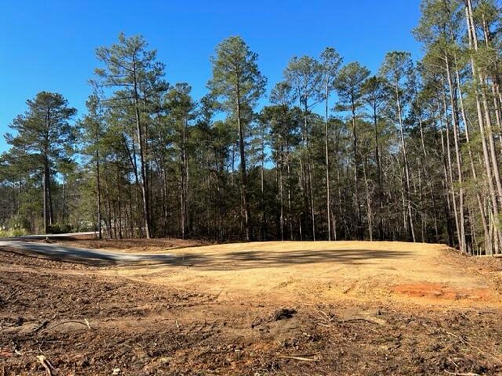 Photo of 118 Tara Drive, McCormick, SC 29835 (MLS # 553230)