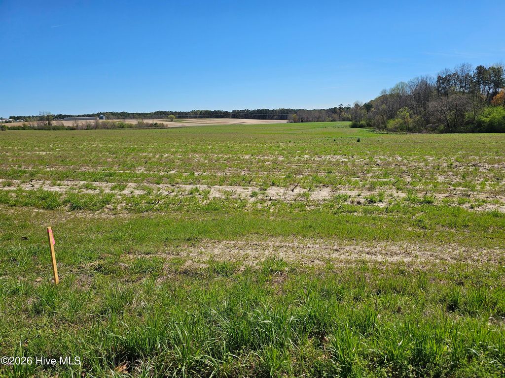 Photo of 2 Tbd Lot #2 Bibey Rd., Carthage, NC 28327 (MLS # 100560956)