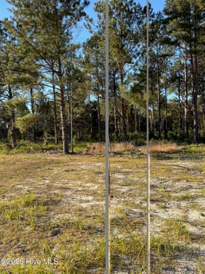 LOT 5 TBD GIBSON ROAD, LAURINBURG, NC 28352 - Image 2203f100e73cc337d38da5c5376ffaef/2665457469
