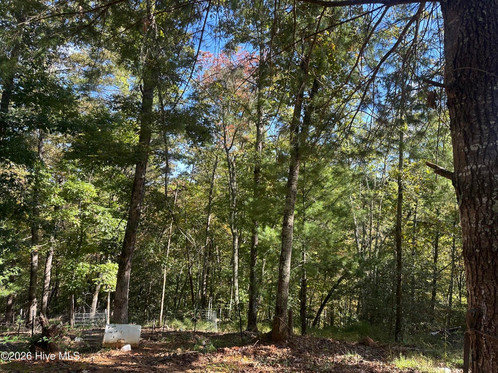 Photo of 237 Hillendale Lane, Murphy, NC 28906 (MLS # 100610344)