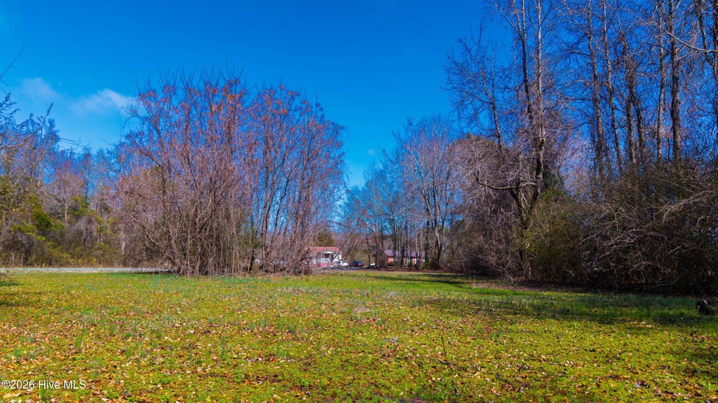 Photo of 5192 Englishtown Road, Wallace, NC 28466 (MLS # 100601474)